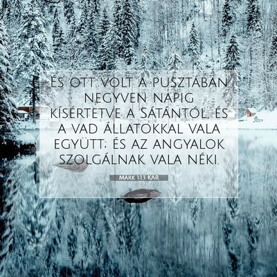 Picture 07 - Márk 1:13 KAR - És ott volt a pusztában negyven napig - Bible Verse Picture