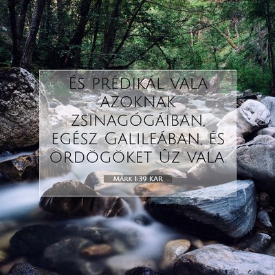 Picture 07 - Márk 1:39 KAR - És prédikál vala azoknak zsinagógáiban, - Bible Verse Picture