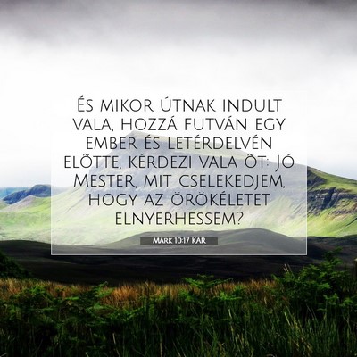 Picture 07 - Márk 10:17 KAR - És mikor útnak indult vala, hozzá futván egy - Bible Verse Picture