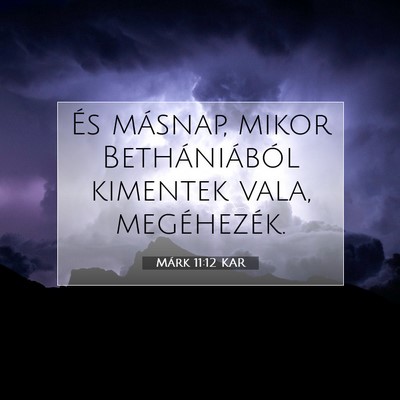 Picture 07 - Márk 11:12 KAR - És másnap, mikor Bethániából kimentek vala, - Bible Verse Picture