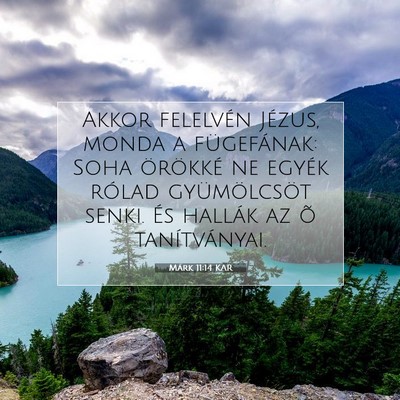 Picture 07 - Márk 11:14 KAR - Akkor felelvén Jézus, monda a fügefának: Soha - Bible Verse Picture