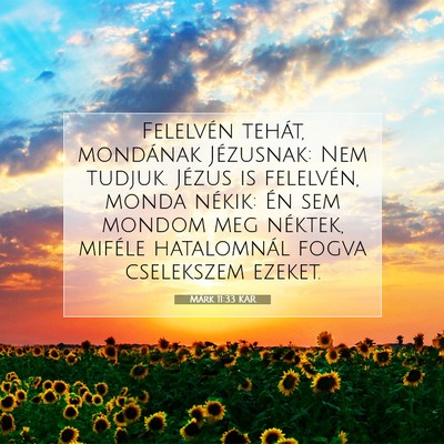 Picture 07 - Márk 11:33 KAR - Felelvén tehát, mondának Jézusnak: Nem - Bible Verse Picture