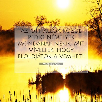 Picture 07 - Márk 11:5 KAR - Az ott állók közül pedig némelyek mondának - Bible Verse Picture