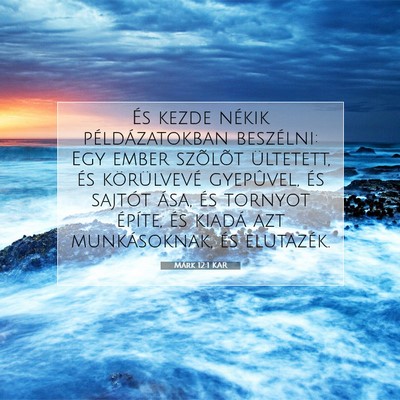 Picture 07 - Márk 12:1 KAR - És kezde nékik példázatokban beszélni: Egy - Bible Verse Picture