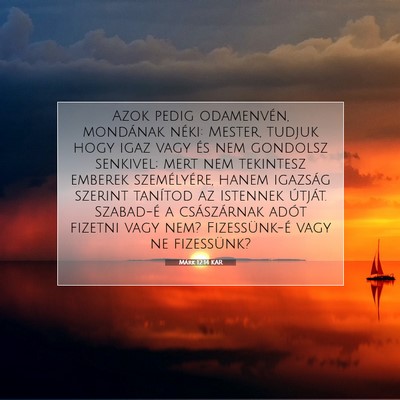 Picture 07 - Márk 12:14 KAR - Azok pedig odamenvén, mondának néki: Mester, - Bible Verse Picture