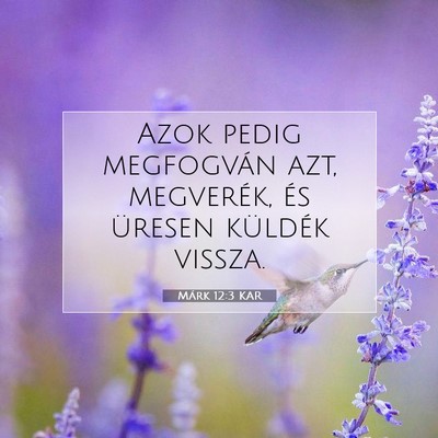 Picture 07 - Márk 12:3 KAR - Azok pedig megfogván azt, megverék, és üresen - Bible Verse Picture