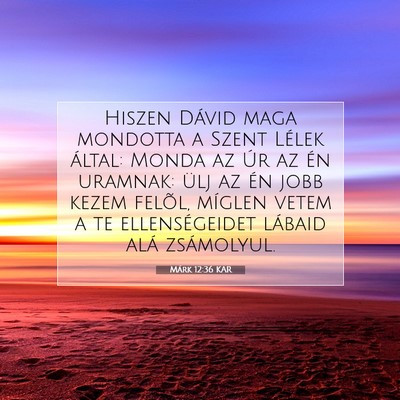 Picture 07 - Márk 12:36 KAR - Hiszen Dávid maga mondotta a Szent Lélek - Bible Verse Picture