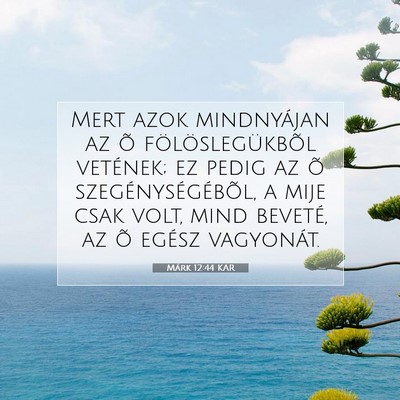 Picture 07 - Márk 12:44 KAR - Mert azok mindnyájan az õ fölöslegükbõl - Bible Verse Picture