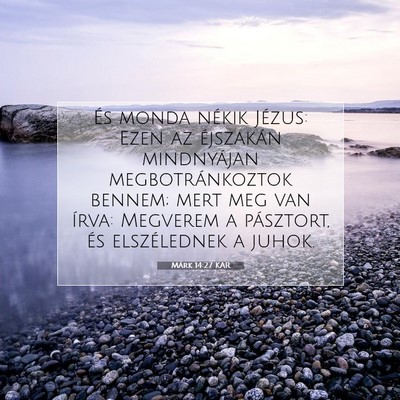 Picture 07 - Márk 14:27 KAR - És monda nékik Jézus: Ezen az éjszakán - Bible Verse Picture