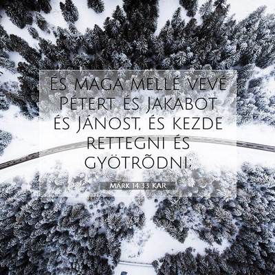 Picture 07 - Márk 14:33 KAR - És maga mellé vevé Pétert és Jakabot és - Bible Verse Picture