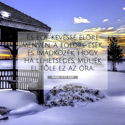 Picture 07 - Márk 14:35 KAR - És egy kevéssé elõre menvén, a földre - Bible Verse Picture