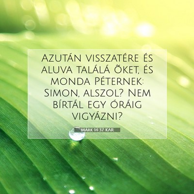 Picture 07 - Márk 14:37 KAR - Azután visszatére és aluva találá õket, és - Bible Verse Picture