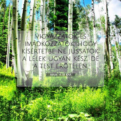 Picture 07 - Márk 14:38 KAR - Vigyázzatok és imádkozzatok, hogy kísértetbe - Bible Verse Picture