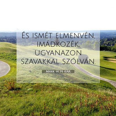 Picture 07 - Márk 14:39 KAR - És ismét elmenvén, imádkozék, ugyanazon - Bible Verse Picture
