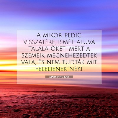 Picture 07 - Márk 14:40 KAR - A mikor pedig visszatére, ismét aluva találá - Bible Verse Picture
