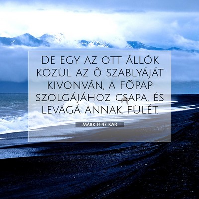 Picture 07 - Márk 14:47 KAR - De egy az ott állók közül az õ szablyáját - Bible Verse Picture