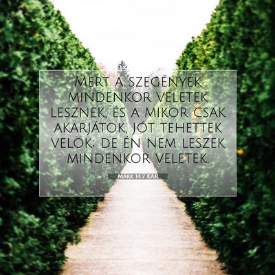 Picture 07 - Márk 14:7 KAR - Mert a szegények mindenkor veletek lesznek, és - Bible Verse Picture