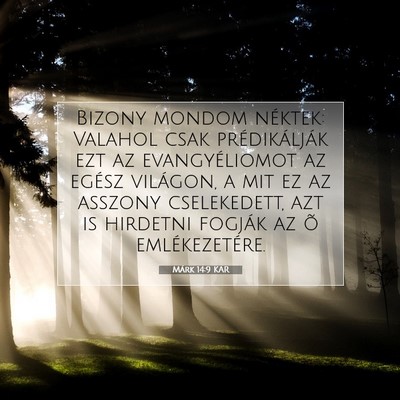 Picture 07 - Márk 14:9 KAR - Bizony mondom néktek: Valahol csak - Bible Verse Picture