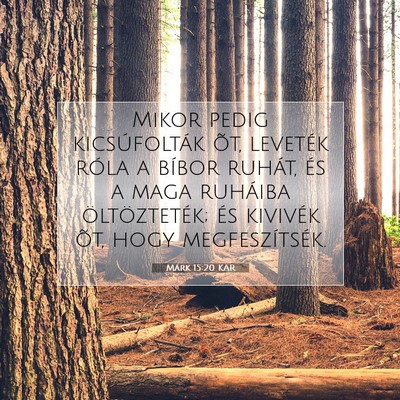 Picture 07 - Márk 15:20 KAR - Mikor pedig kicsúfolták õt, leveték róla a - Bible Verse Picture