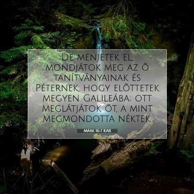 Picture 07 - Márk 16:7 KAR - De menjetek el, mondjátok meg az õ - Bible Verse Picture