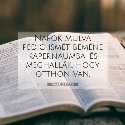 Picture 07 - Márk 2:1 KAR - Napok mulva pedig ismét beméne Kapernaumba, és - Bible Verse Picture