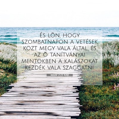 Picture 07 - Márk 2:23 KAR - És lõn, hogy szombatnapon a vetések közt megy - Bible Verse Picture