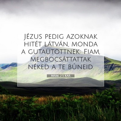 Picture 07 - Márk 2:5 KAR - Jézus pedig azoknak hitét látván, monda a - Bible Verse Picture
