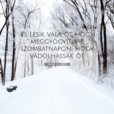 Picture 07 - Márk 3:2 KAR - És lesik vala õt, hogy meggyógyítja-é - Bible Verse Picture