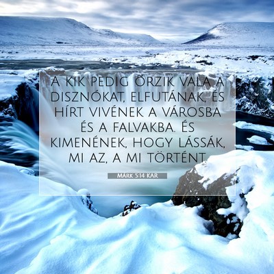 Picture 07 - Márk 5:14 KAR - A kik pedig õrzik vala a disznókat, elfutának, - Bible Verse Picture