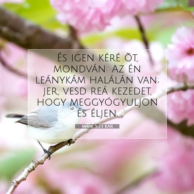 Picture 07 - Márk 5:23 KAR - És igen kéré õt, mondván: Az én leánykám - Bible Verse Picture