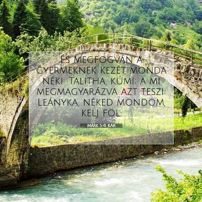 Picture 07 - Márk 5:41 KAR - És megfogván a gyermeknek kezét, monda néki: - Bible Verse Picture