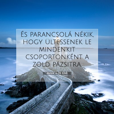 Picture 07 - Márk 6:39 KAR - És parancsolá nékik, hogy ültessenek le - Bible Verse Picture