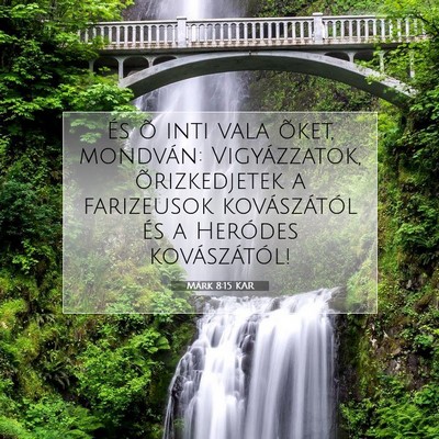 Picture 07 - Márk 8:15 KAR - És õ inti vala õket, mondván: Vigyázzatok, - Bible Verse Picture