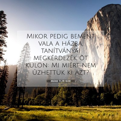 Picture 07 - Márk 9:28 KAR - Mikor pedig bement vala a házba, tanítványai - Bible Verse Picture