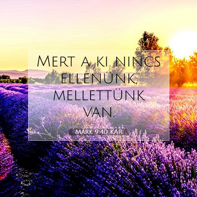 Picture 07 - Márk 9:40 KAR - Mert a ki nincs ellenünk, mellettünk - Bible Verse Picture