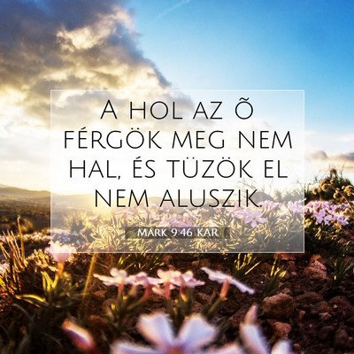 Picture 07 - Márk 9:46 KAR - A hol az õ férgök meg nem hal, és tüzök el - Bible Verse Picture