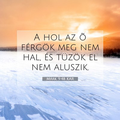 Picture 07 - Márk 9:48 KAR - A hol az õ férgök meg nem hal, és tüzök el - Bible Verse Picture