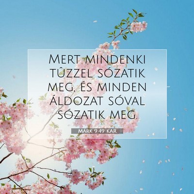 Picture 07 - Márk 9:49 KAR - Mert mindenki tûzzel sózatik meg, és minden - Bible Verse Picture