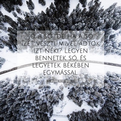 Picture 07 - Márk 9:50 KAR - Jó a só: de ha a só ízét veszti, mivel adtok - Bible Verse Picture