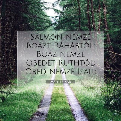 Picture 07 - Máté 1:5 KAR - Sálmón nemzé Boázt Ráhábtól; Boáz nemzé - Bible Verse Picture