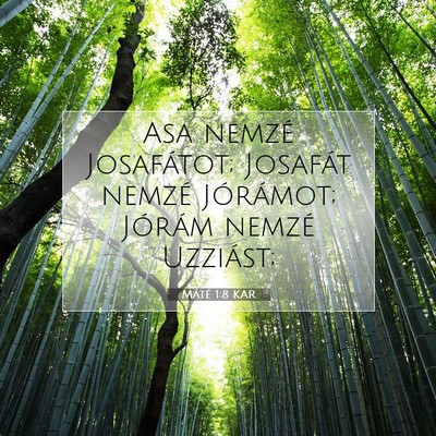 Picture 07 - Máté 1:8 KAR - Asa nemzé Josafátot; Josafát nemzé Jórámot; - Bible Verse Picture