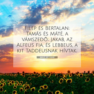 Picture 07 - Máté 10:3 KAR - Filep és Bertalan; Tamás és Máté, a - Bible Verse Picture