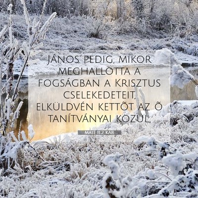 Picture 07 - Máté 11:2 KAR - János pedig, mikor meghallotta a fogságban a - Bible Verse Picture