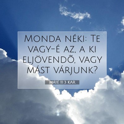 Picture 07 - Máté 11:3 KAR - Monda néki: Te vagy-é az, a ki eljövendõ, - Bible Verse Picture