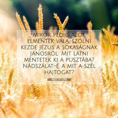 Picture 07 - Máté 11:7 KAR - Mikor pedig azok elmentek vala, szólni kezde - Bible Verse Picture
