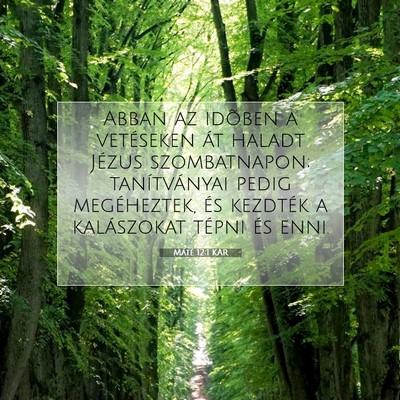 Picture 07 - Máté 12:1 KAR - Abban az idõben a vetéseken át haladt Jézus - Bible Verse Picture