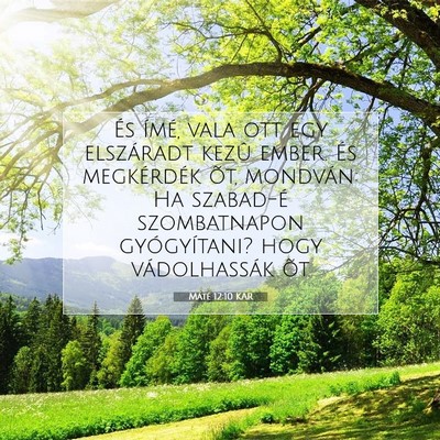 Picture 07 - Máté 12:10 KAR - És ímé, vala ott egy elszáradt kezû ember. - Bible Verse Picture