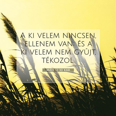 Picture 07 - Máté 12:30 KAR - A ki velem nincsen, ellenem van; és a ki velem - Bible Verse Picture