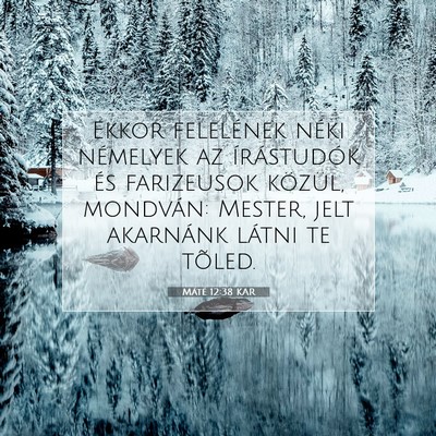 Picture 07 - Máté 12:38 KAR - Ekkor felelének néki némelyek az írástudók - Bible Verse Picture