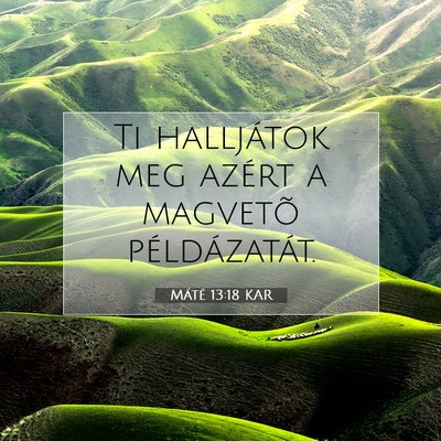 Picture 07 - Máté 13:18 KAR - Ti halljátok meg azért a magvetõ - Bible Verse Picture